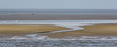 Droogvallende Waddenzee - Engelsmanplaat