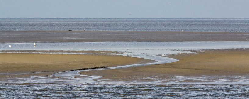 Droogvallende Waddenzee - Engelsmanplaat von Meindert van Dijk