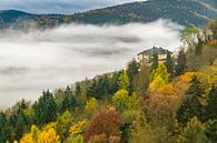 Talnebel par Heinz Grates Aperçu