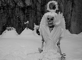 Last angel skeleton of an angel in white snow