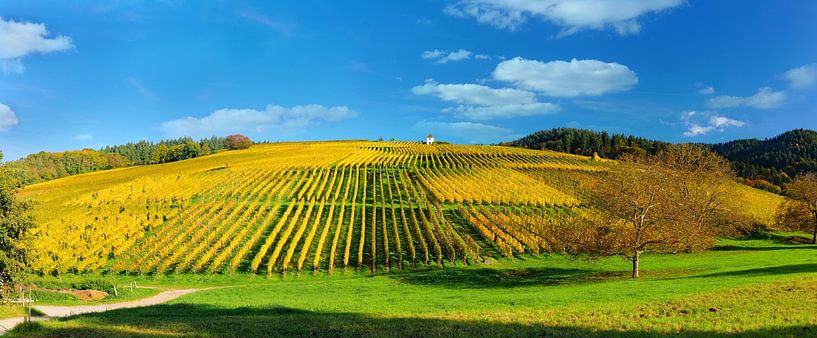 Golden autumn in the Markgräfler Land 2.0 Panorama by Ingo Laue