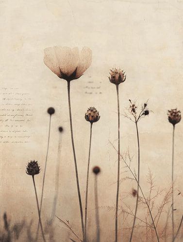 Bloemen in vintage en Japandi stijl