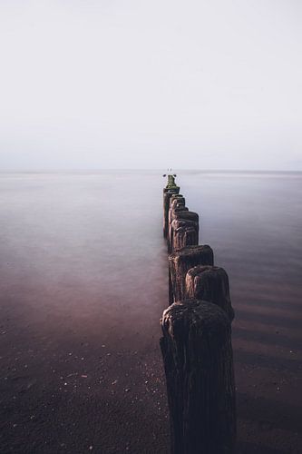 Vinden we vrijheid niet volgens de leidende lijnen van de zee