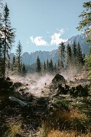 Natur in den Dolomiten Italien von PeggyIrene Photography