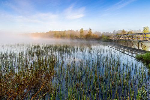 Morgenstimmung am See von Daniela Beyer