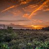 Dutch nature in park The Veluwe with orange sky RawBird Photo's Wouter Putter by Rawbird Photo's Wouter Putter