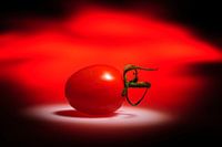cherry tomaat 