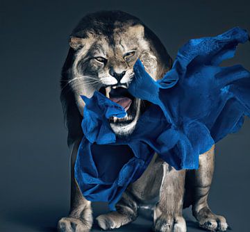Löwen-Nachrichten von Lions-Art