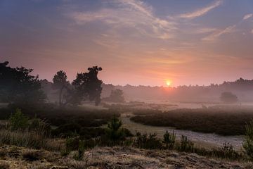 Good morning by Tvurk Photography