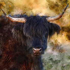Portret Schotse hooglander van gea strucks