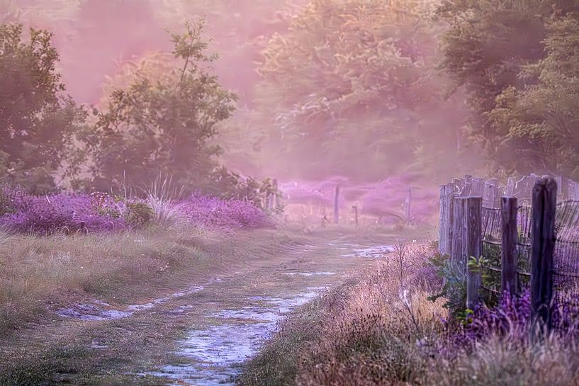 Heide in mist van Alida van Luijn-Toet