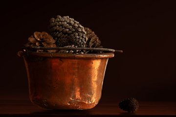 Pommes de pin dans une vieille casserole en cuivre sur Irene Ruysch