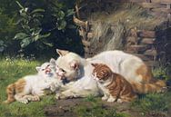 Moederkat met haar twee kittens, Julius Adam, ca 1900 van Atelier Liesjes thumbnail