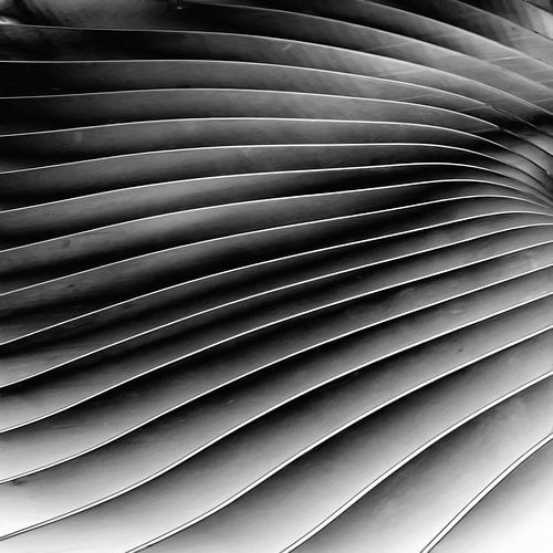 Abstract wavy lines