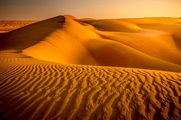 Dunes de sable sur Antwan Janssen