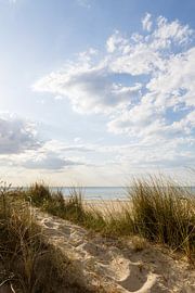 À travers les dunes – vue sur la mer sur Nina Thilo