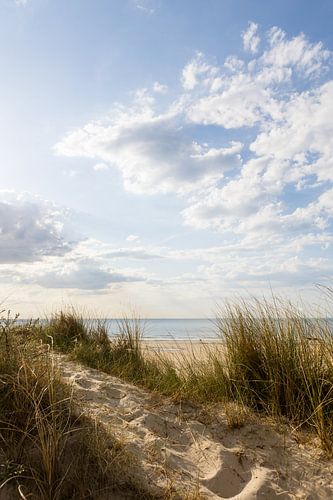 Door de duinen – uitzicht op zee