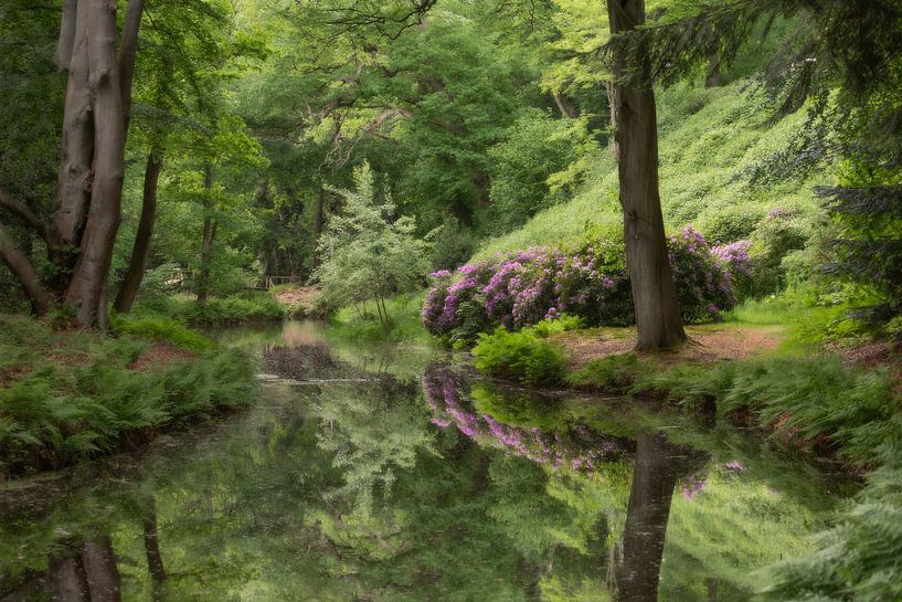 Reflection in the water by Margreet Piek