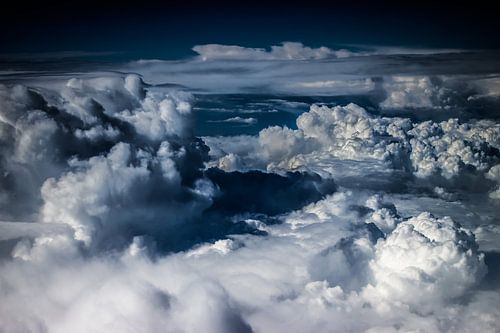Softness # 1