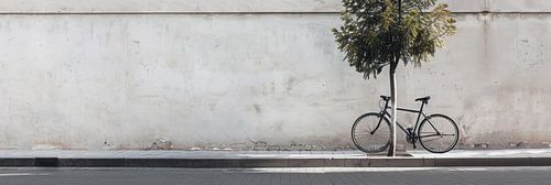 Fiets