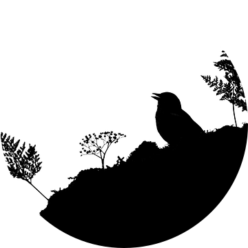 Vink in het feeënbos