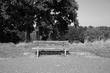 Découvrir la nature dans une zone forestière de l'Emsland, Basse-Saxe, Allemagne sur Bianca Meyering Fotos - BMF