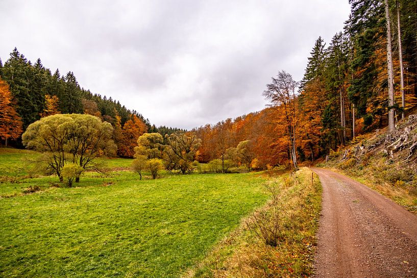 Randonnée automnale à travers le Spittergrund près de Tambach-Dietharz jusqu'à la cascade par Oliver Hlavaty