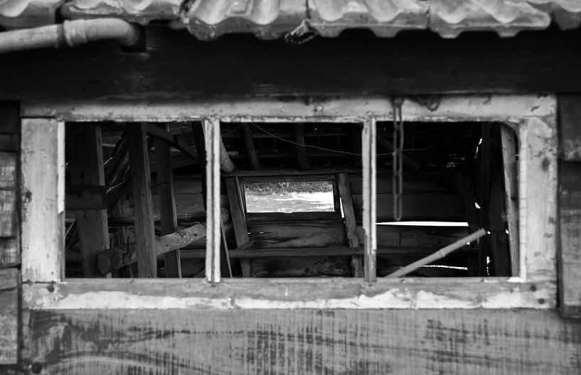 Schuur 3 van Domenique van der Horst