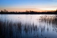 Sunset at De Wijers by Johan Vanbockryck thumbnail