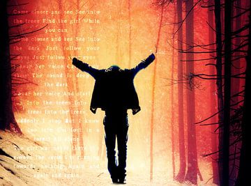 a forest, The Cure by René Glas