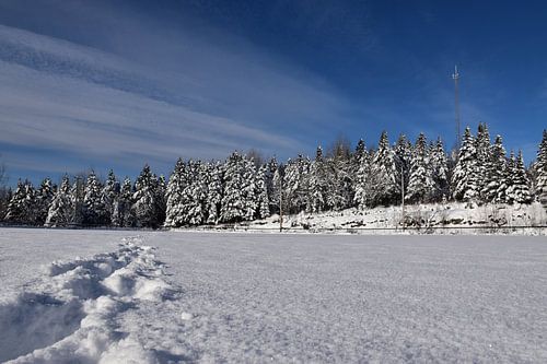 Het winterrecreatiegebied