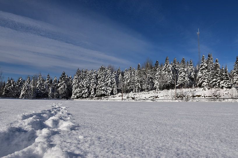 The winter recreation area by Claude Laprise
