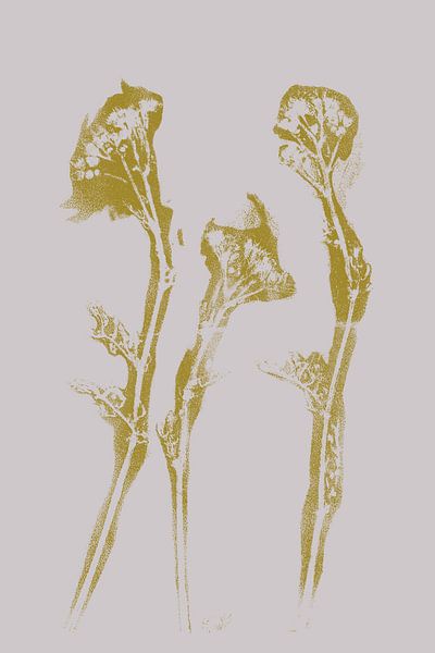 Wabi-Sabi Botanical: Printed  Flowers in Yellow on White by Dina Dankers