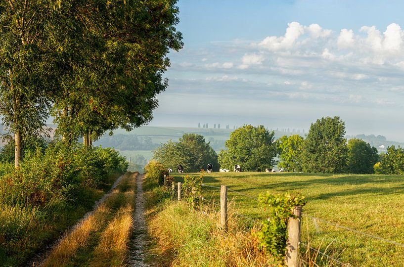Mistige zonsopkomst boven de Zuid-Limburgse heuvels van John Kreukniet
