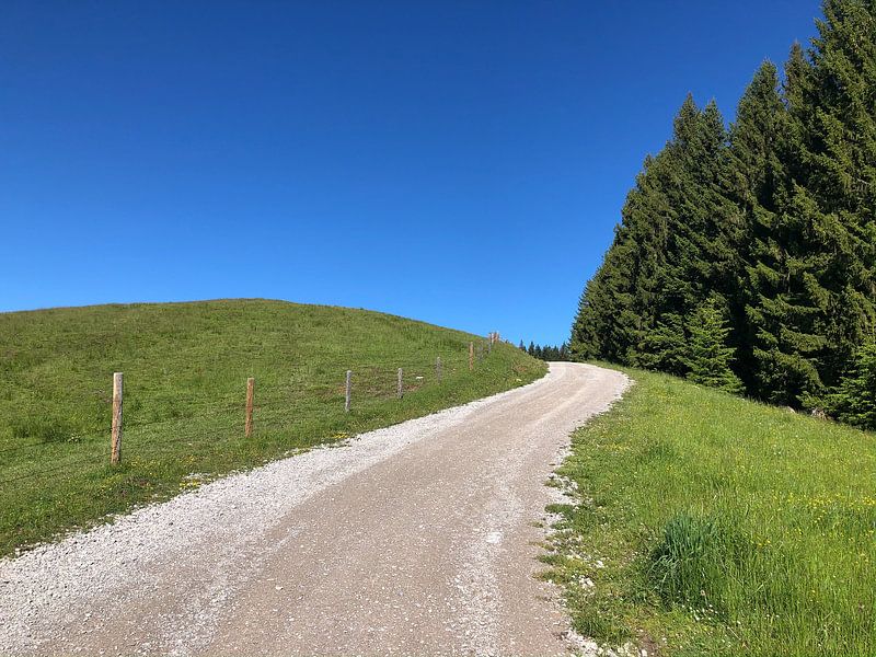 Einsamer Berweg ins Nirgendwo, mit Himmel, Almwiese und Wald von Robert Styppa