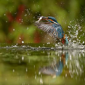 The Harvest of the Moment by peter reinders