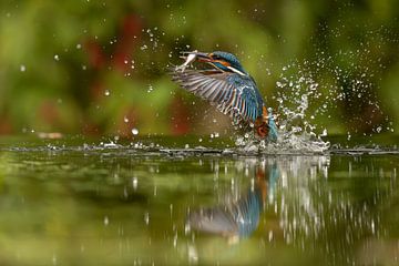 De Oogst van het Moment