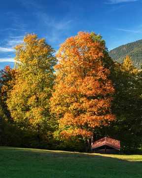 Wandern in Bayern im Herbst. Mit großen Bäumen und Almhütte