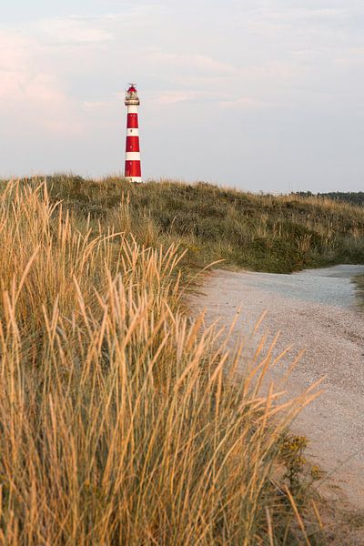 Ameland-Leuchtturm mit Weg durch hügelige Dünenlandschaft von Mayra Fotografie