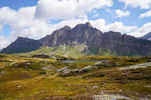 Ongerepte alpenwildernis in de Zwitserse Alpen met ruige bergtoppen en ruige natuur.
