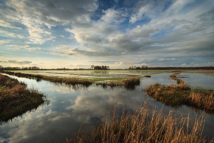 Wyldlannen Nationaal Park De Alde Feanen van Fonger de Vlas