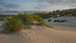 Duinlandschap Ameland