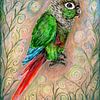 Een aquareltekening van een pyrrhura of groenwangparkiet van Bianca Wisseloo