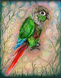 Dessin à l'aquarelle d'une perruche pyrrhura ou à joues vertes