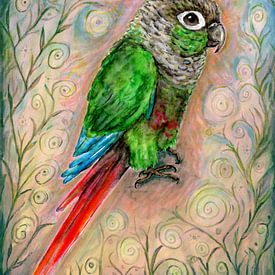 Eine Aquarellzeichnung eines Pyrrhura- oder Grünwangensittichs von Bianca Wisseloo