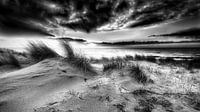 Hollandse kust met de duinen en de Noordzee van eric van der eijk thumbnail