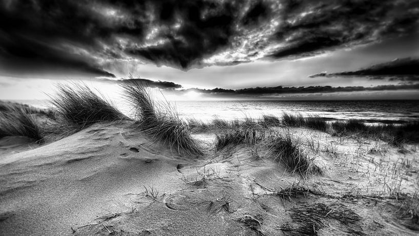 Hollandse kust met de duinen en de Noordzee van eric van der eijk