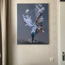 Customer photo: Fishing Kingfisher by Tariq La Brijn, on artframe