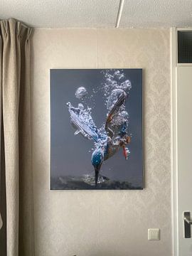 Klantfoto: Vissende ijsvogel van Tariq La Brijn