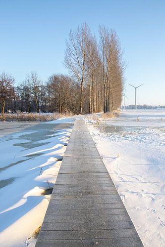 Vlonderpad Aaltense Goor